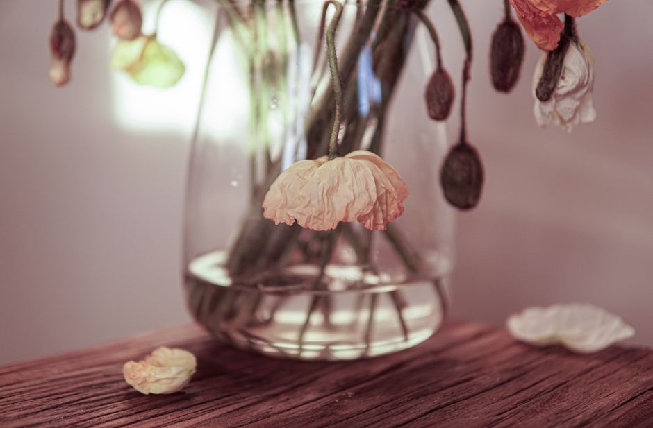 Close-up of dried flowers elegantly arranged in a glass vase on a wooden table.