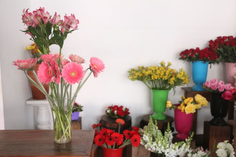 A beautiful collection of vibrant flowers in colorful vases, perfect for decoration.